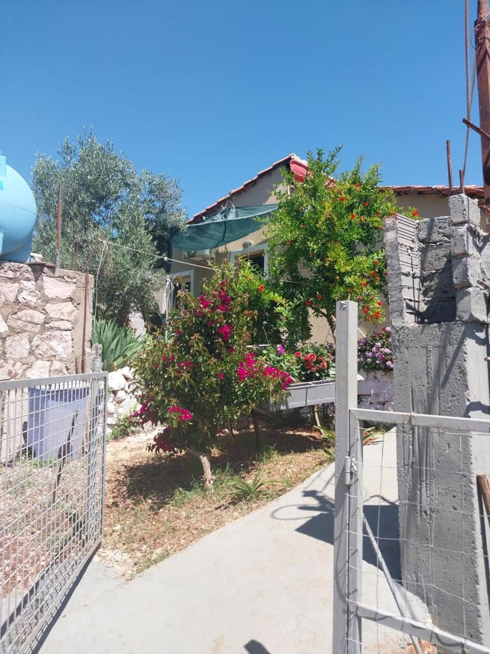 Apartamento Disha